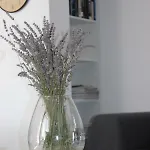 Floral Brodarica (Sibenik-Knin)