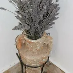 Apartment Floral Brodarica (Sibenik-Knin)