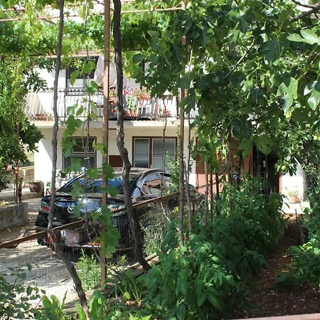 Floral Brodarica (Sibenik-Knin)