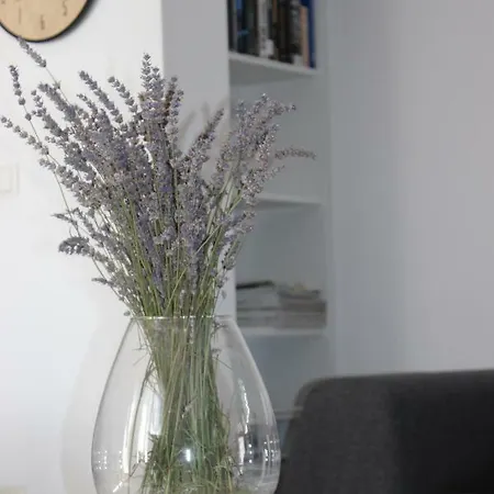 Floral Brodarica (Sibenik-Knin)