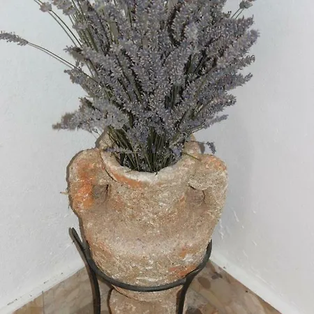 Appartement Floral Brodarica (Sibenik-Knin)