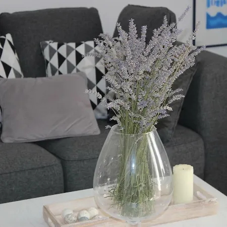 Floral * Brodarica (Sibenik-Knin)