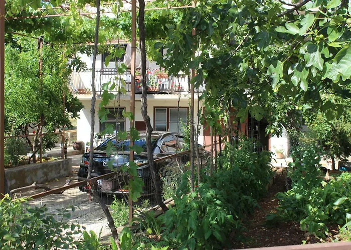 Floral 布罗达里卡