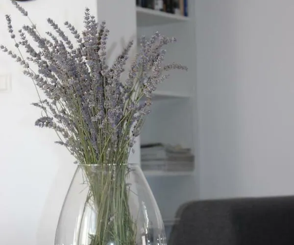 Floral بروداريكا