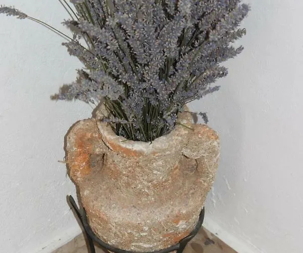 شقة Floral بروداريكا