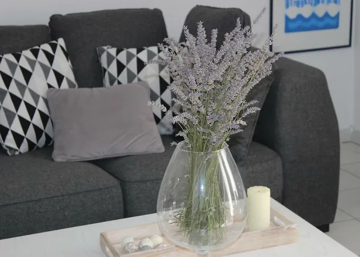 Floral * 布罗达里卡